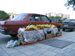 Tadej Pogačar, Street economy archive, 2001