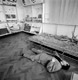 Tadej Pogačar, Visit II, 1993