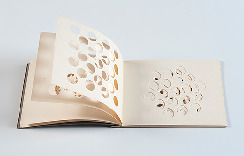 Marko Pogačnik, Item: BOOK, 1966